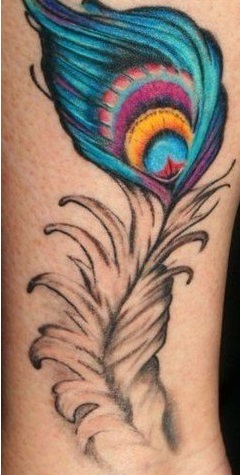 Amazing Color Peacock Feather Tattoo Idea