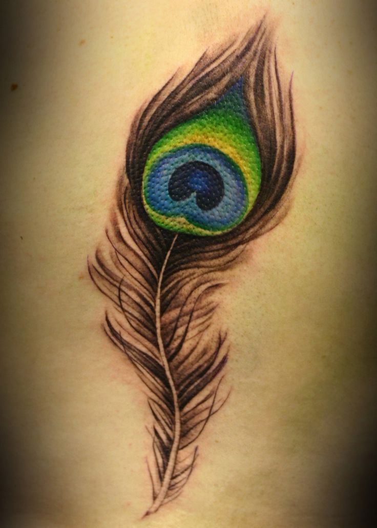 Amazing Peacock Feather Tattoo On Back