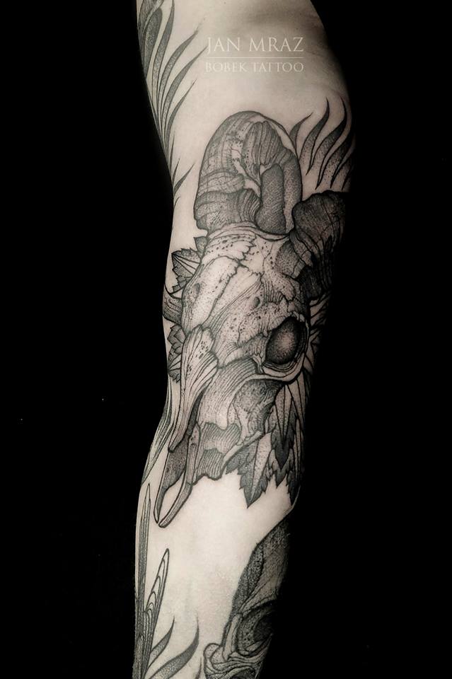 Animal Skull Tattoo On Sleeve By Jan Mraz