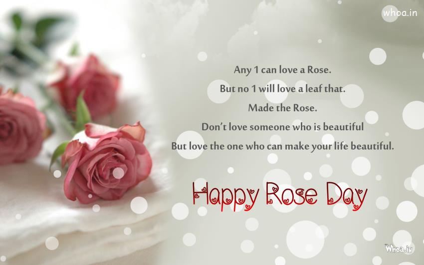 Any I Can Love A Rose But No 1 Will Love A Leaf That Made The Rose Happy Rose Day Greeting Card