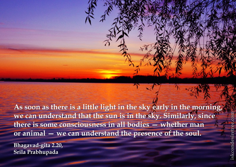 As soon as there is a little light in the sky early in the morning, we can understand that the sun is in the sky. Similarly, since there is some consciousness in all ...