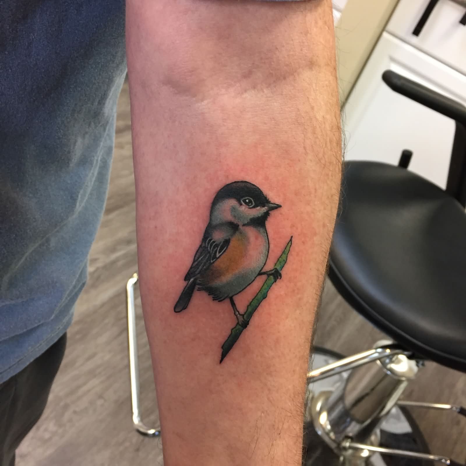 Attractive Bird Tattoo On Left Forearm By Daniel Troyer