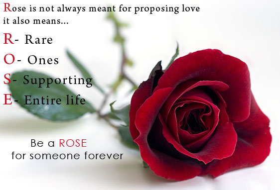 Be A Rose For Someone Forever Happy Rose Day