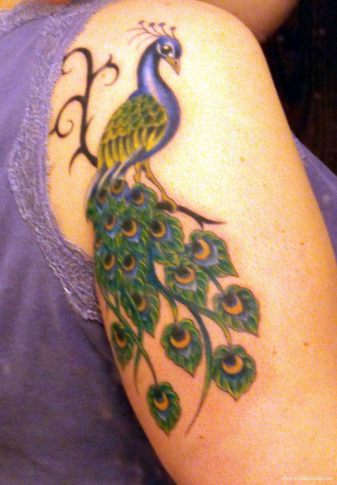 Beautiful Peacock Tattoo On Right Shoulder