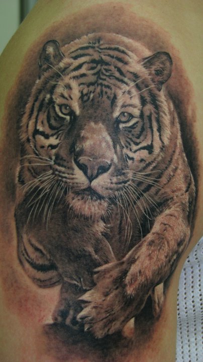 Black And Grey Tiger Tattoo On Half Sleeve By Dmitriy Samohin