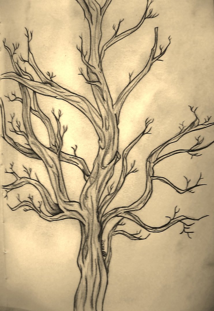 Black And Grey Tree Without Leaves Tattoo Design By Idafornian