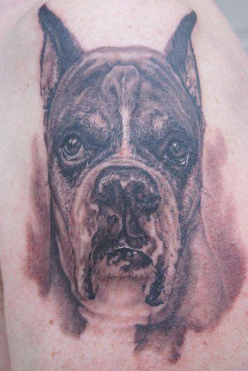Black Ink Boxer Dog Face Portrait Tattoo Design By Tom Renshaw