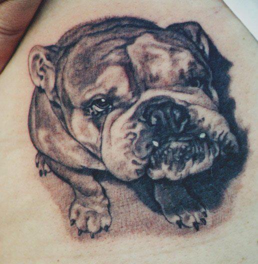 Black Ink Bulldog Tattoo Design By Tom Renshaw