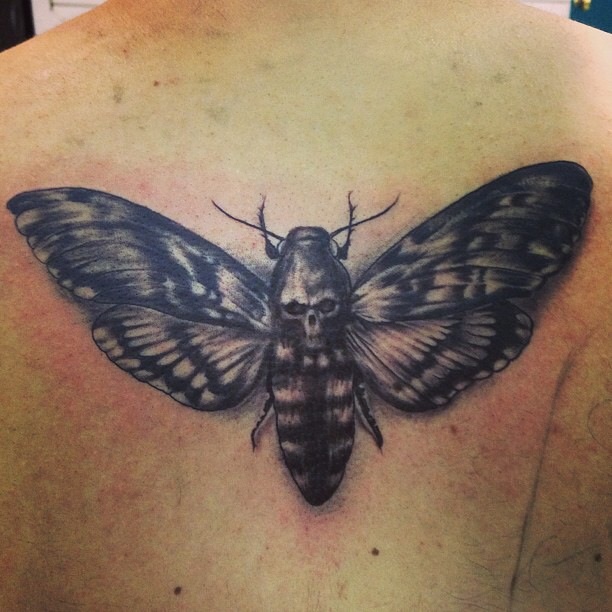 Black Ink Butterfly Tattoo On Upper Back By Piglegion