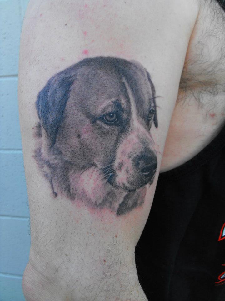 Black Ink Dog Face Portrait Tattoo On Man Right Half Sleeve By Tom Renshaw