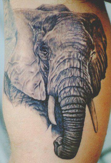 Black Ink Elephant Tattoo Design For Half Sleeve By Tom Renshaw