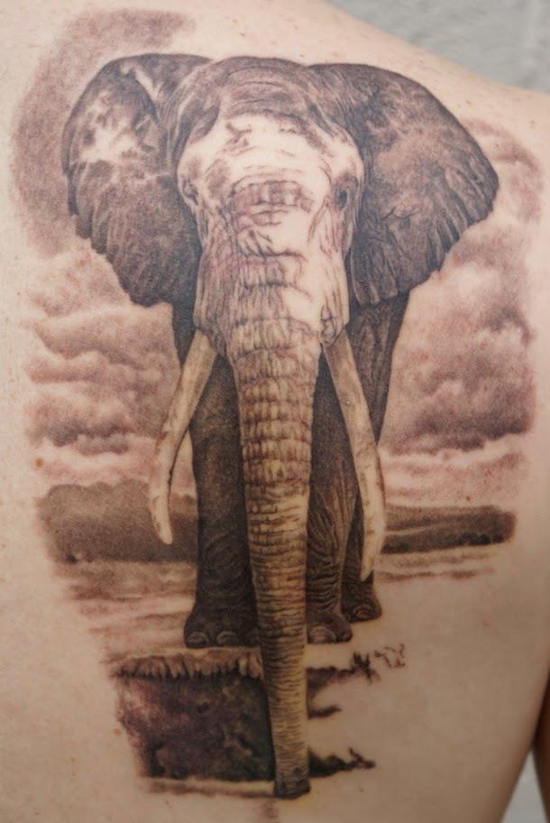 Black Ink Elephant Tattoo On Man Right Back Shoulder