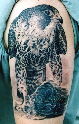 Black Ink Falcon Tattoo On Right Half Sleeve By Tom Renshaw