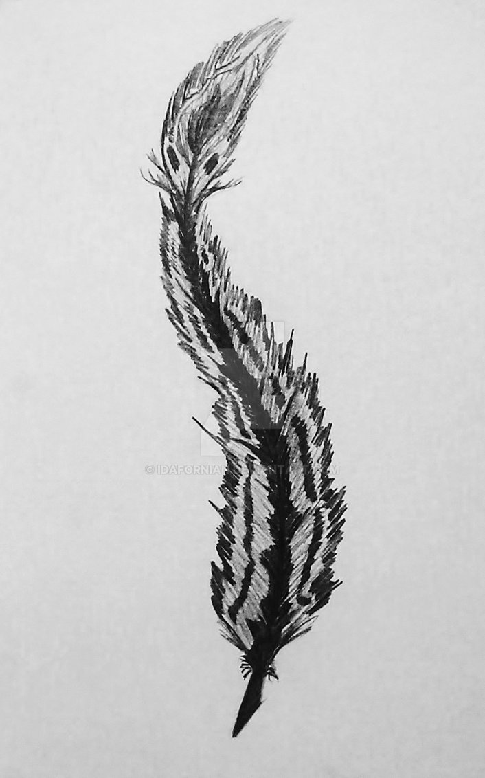 Black Ink Feather Tattoo Design By Idafornian