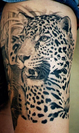 Black Ink Leopard Tattoo Design For Half Sleeve By Tom Renshaw