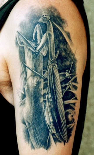 Black Ink Mantis Tattoo On Man Left Half Sleeve