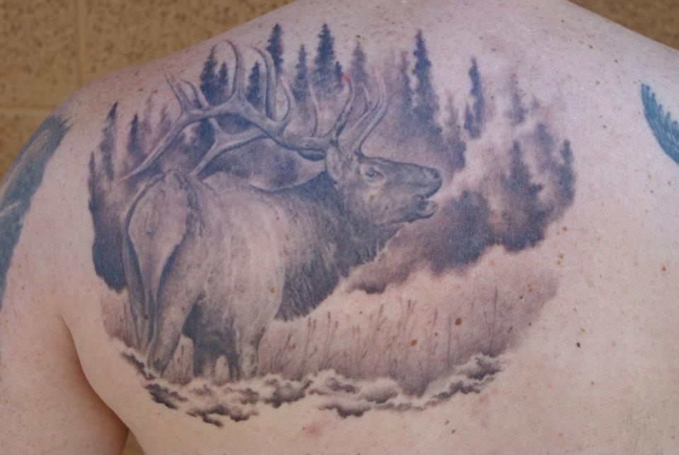 Black Ink Moose Tattoo On Man Left Back Shoulder