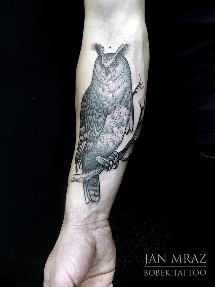 Black Ink Owl On Branch Tattoo On Right Forearm