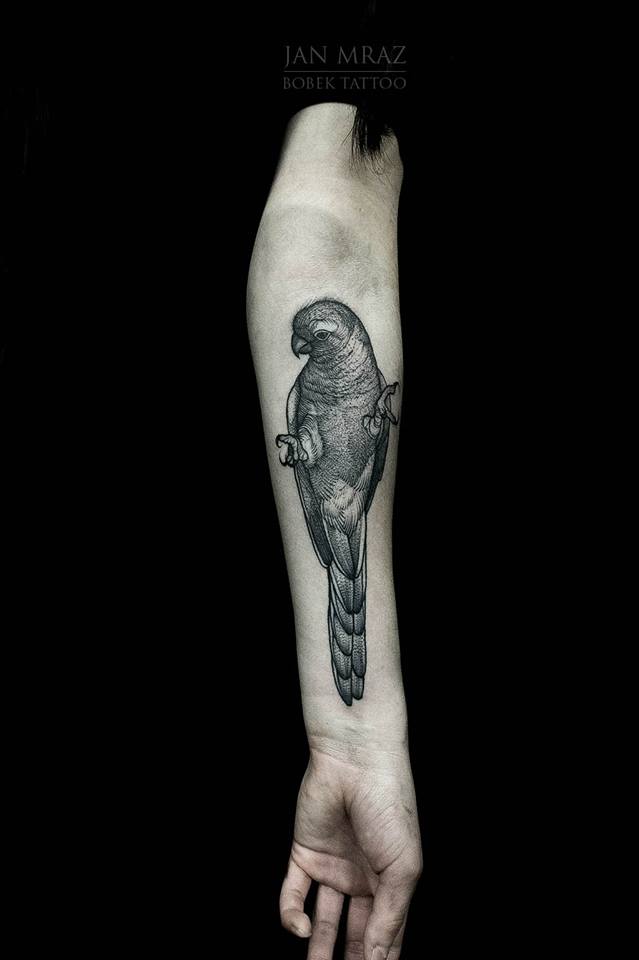Black Ink Parrot Tattoo On Left Forearm