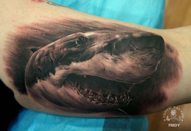 Black Ink Shark Tattoo Design For Bicep By Fredy