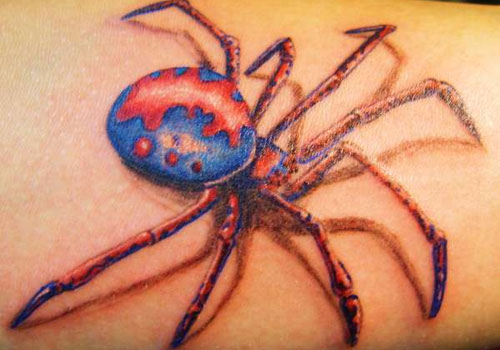 Blue And Red Spider Tattoo On Back