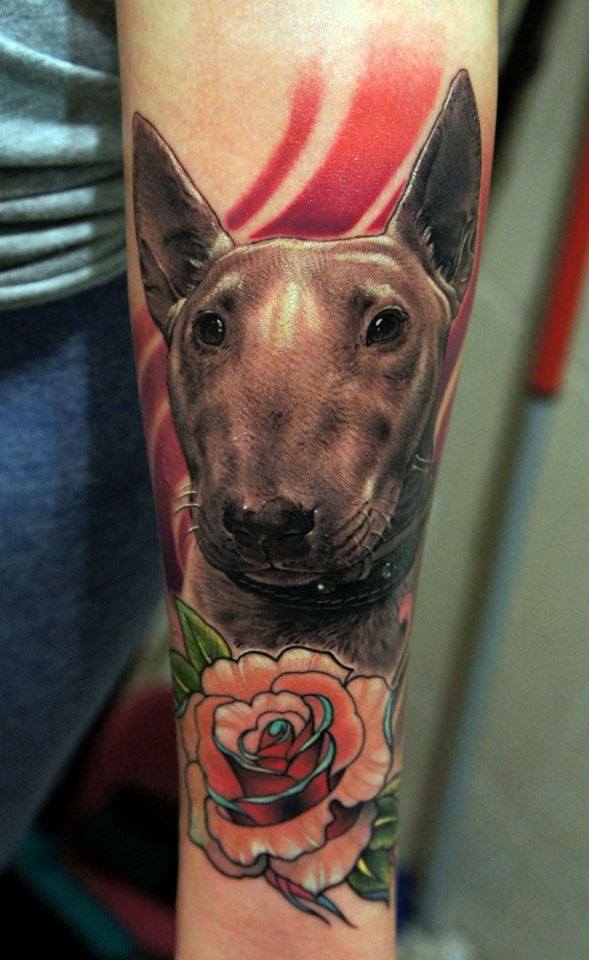 Bull Terrier Dog With Rose Tattoo On Forearm