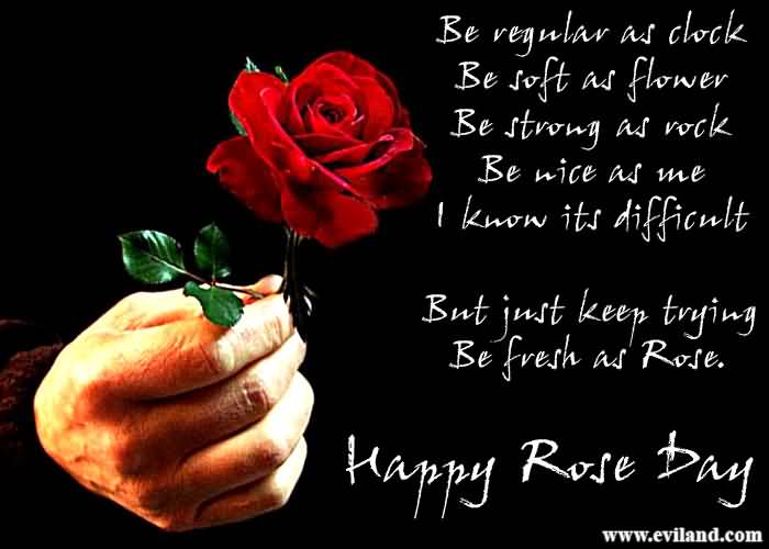 But Just Keep Trying Be Fresh As Rose. Happy Rose Day 2017