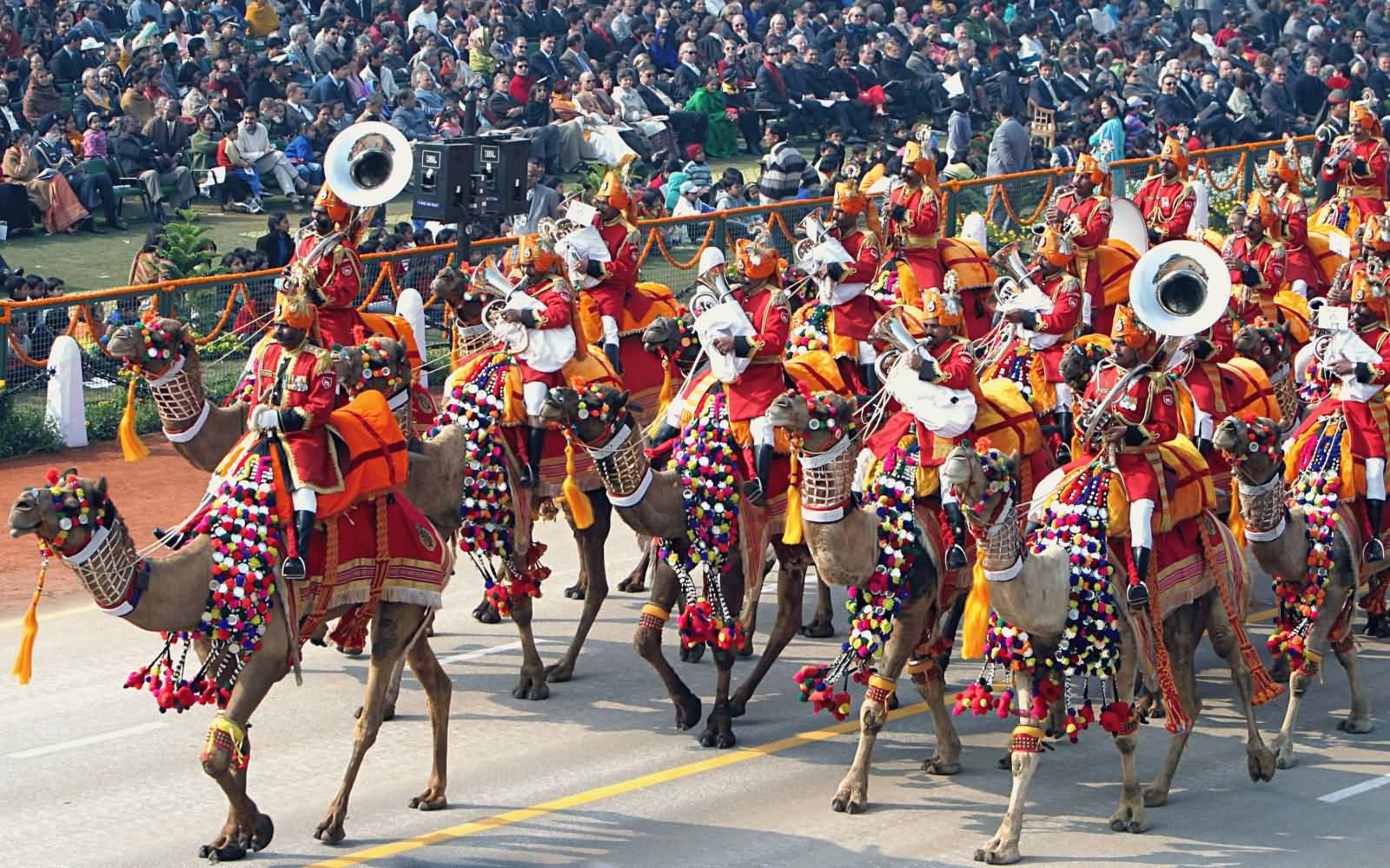Camel Contingent During Republic Day Parade