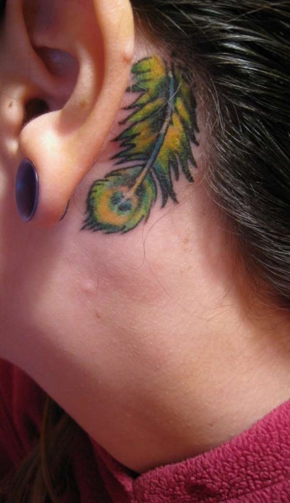 Color Peacock Feather Tattoo Behind The Ear