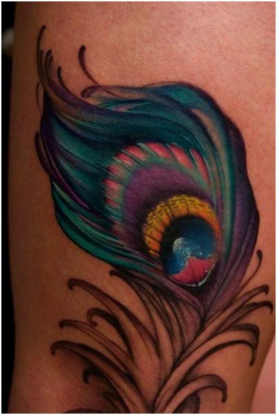 Colored Peacock Feather Tattoo Image