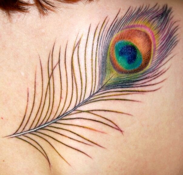 Colored Peacock Feather Tattoo On Back