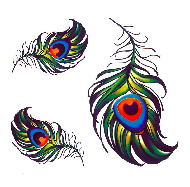 Colored Peacock Feather Tattoos Designs