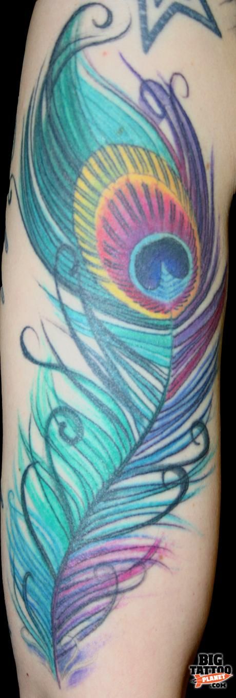 Colorful Peacock Feather Tattoo On Sleeve