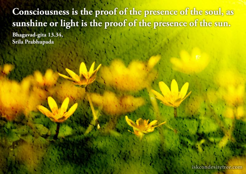 Consciousness is the proof of the presence of the soul, as sunshine or light is the proof of the presence of the sun. Bhagavad Gita