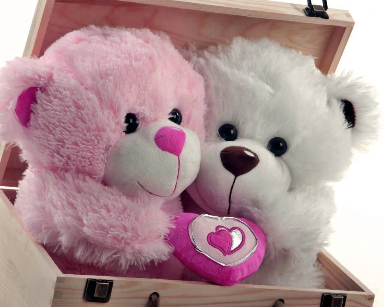 Cute Pink And White Teddy Bears For You On Teddy Day