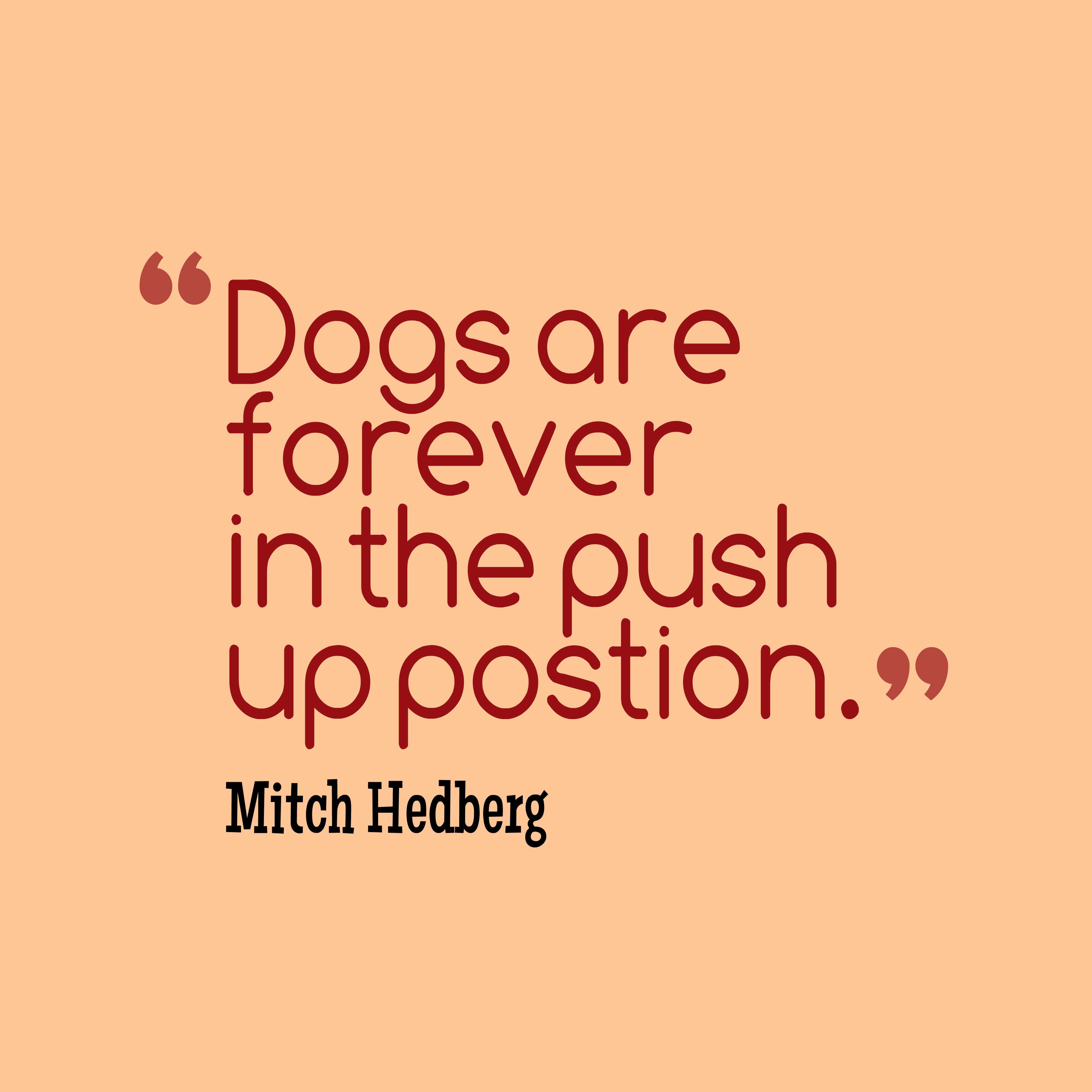Dogs are forever in the push up postion. Mitch Hedberg