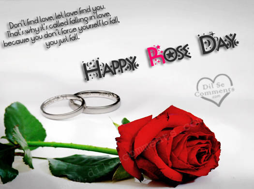 Don’t Find Love, Let Love Find You Happy Rose Day