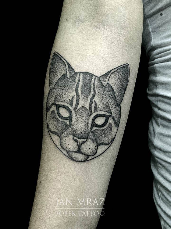 Dotwork Cat Head Tattoo On Right Forearm