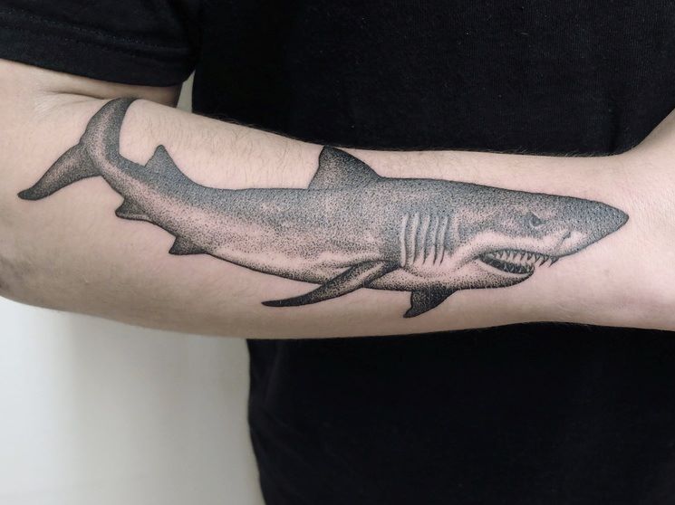 Dotwork Shark Tattoo On Forearm