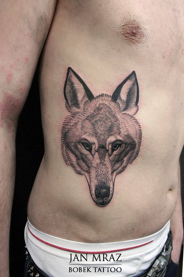 Dotwork Wolf Head Tattoo On Man Right Side Rib