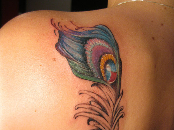 Fantastic Peacock Feather Tattoo