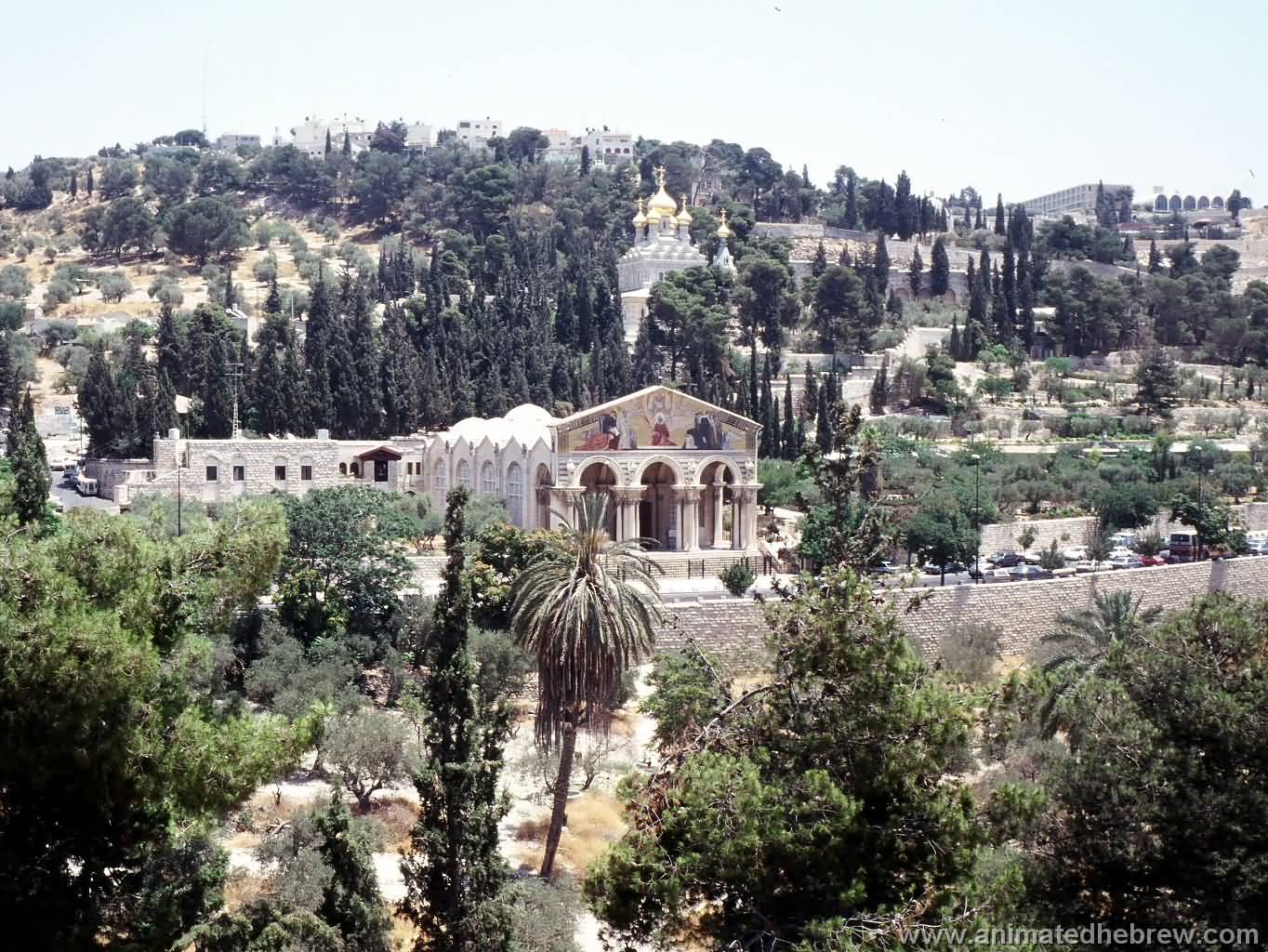 Far View Of The Church Of All Nations In Jerusalem