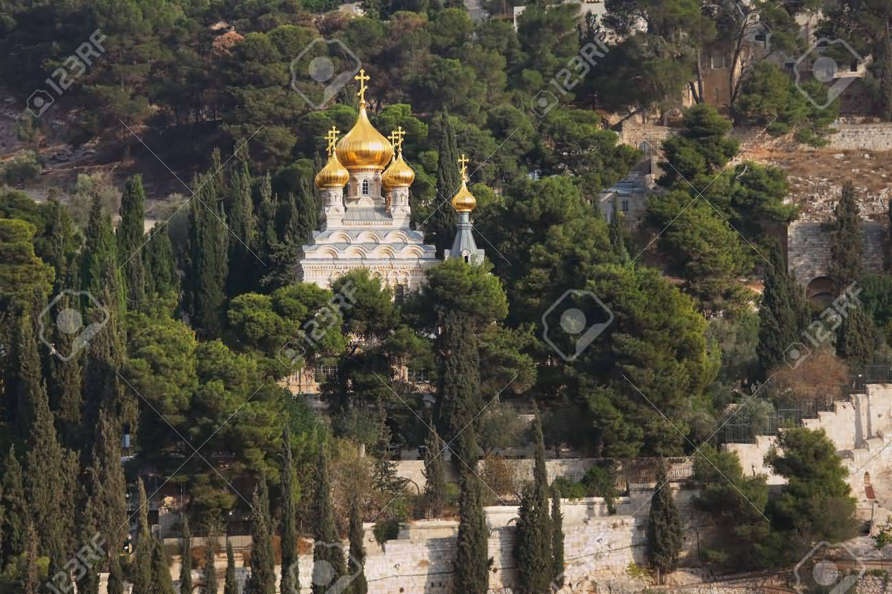 Golden Domes Of The Church Of Mary Magdalene And Cypresses
