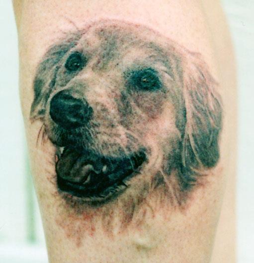 Golden Retriever Dog Face Portrait Tattoo Design For Sleeve