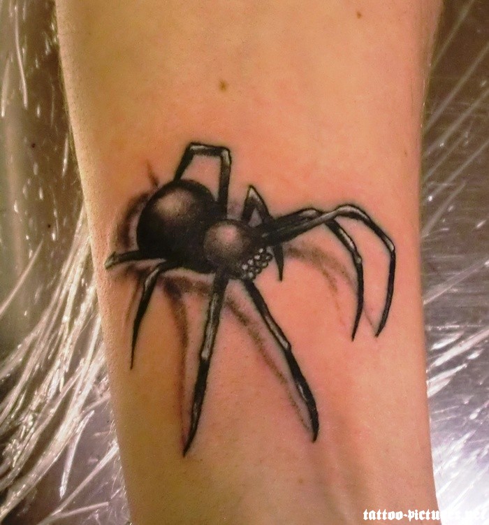 Grey Ink Spider Tattoo On Bicep