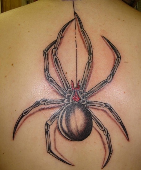 Grey Ink Spider Tattoo On Upper BAck