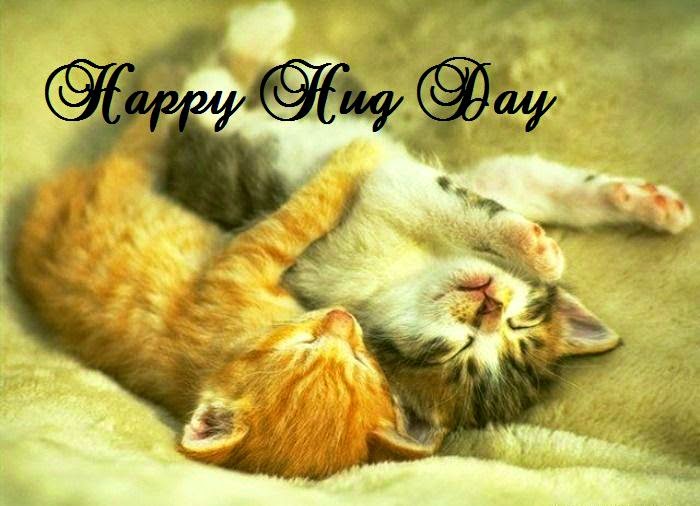 Happy Hug Day Two Kittens