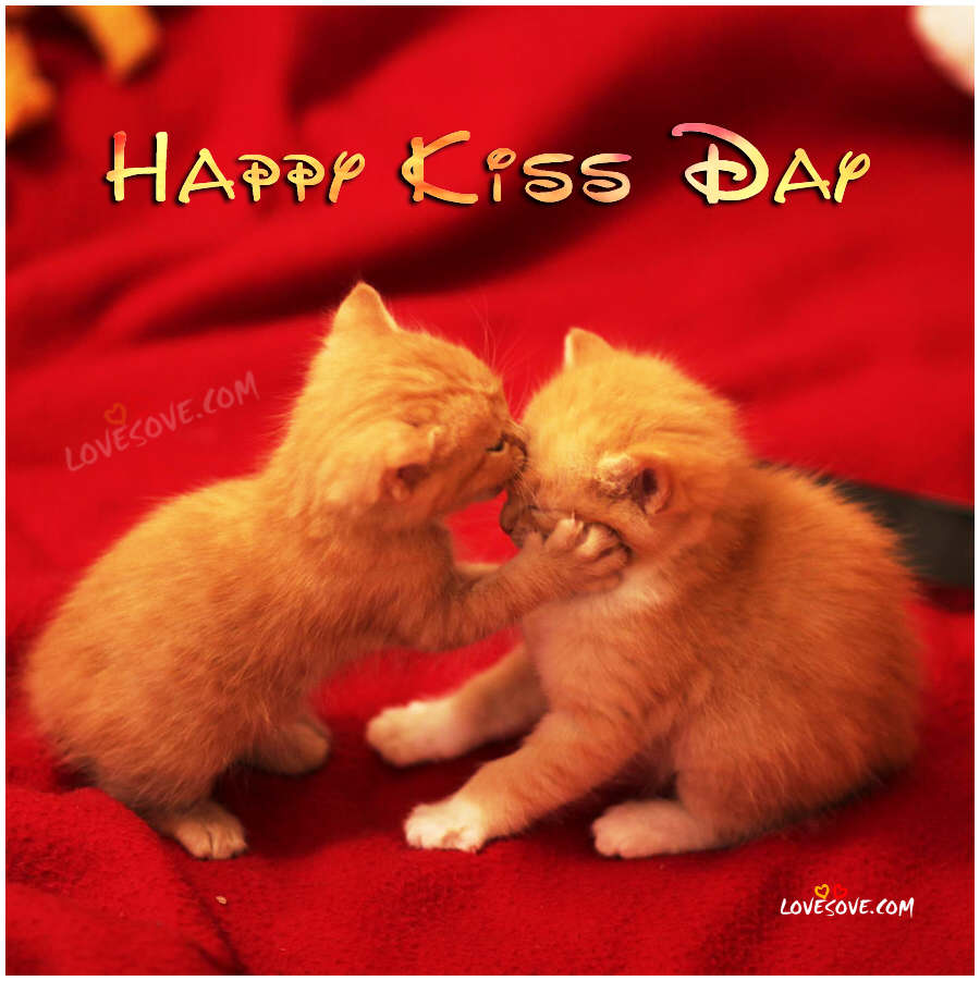 Happy Kiss Day Kittens Kissing