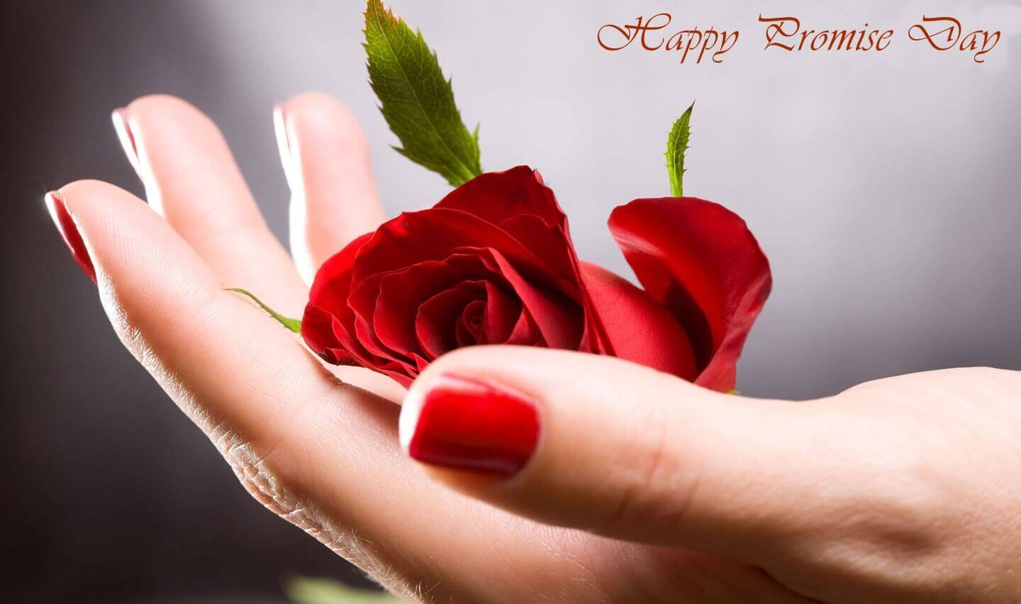 Happy Promise Day 2017 Rose Flower In Hand