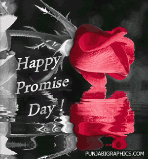 Happy Promise Day Water Reflection Of Rose Animated Picture